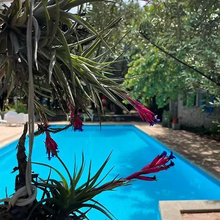 Loft Mansardato Con Giardino E Piscina In Privata Loft With Garden And Swimming Pool In A Private * Sestu