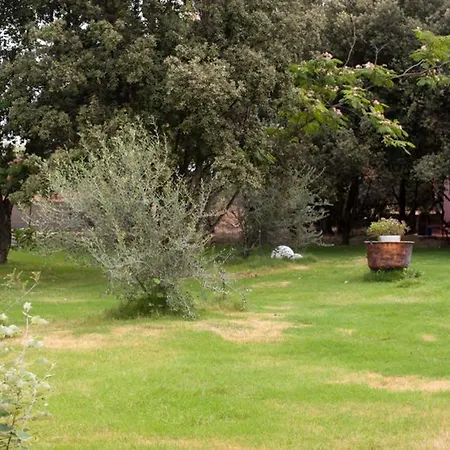 Σπίτι διακοπών Loft Mansardato Con Giardino E Piscina In Privata Loft With Garden And Swimming Pool In A Private