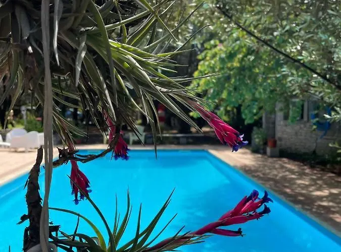 Loft Mansardato Con Giardino E Piscina In Privata Loft With Garden And Swimming Pool In A Private * Sestu